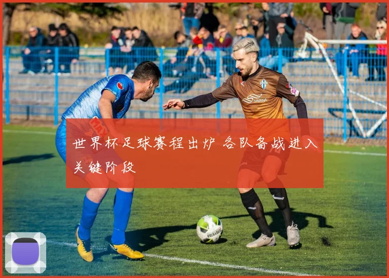 世界杯足球赛程出炉 各队备战进入关键阶段